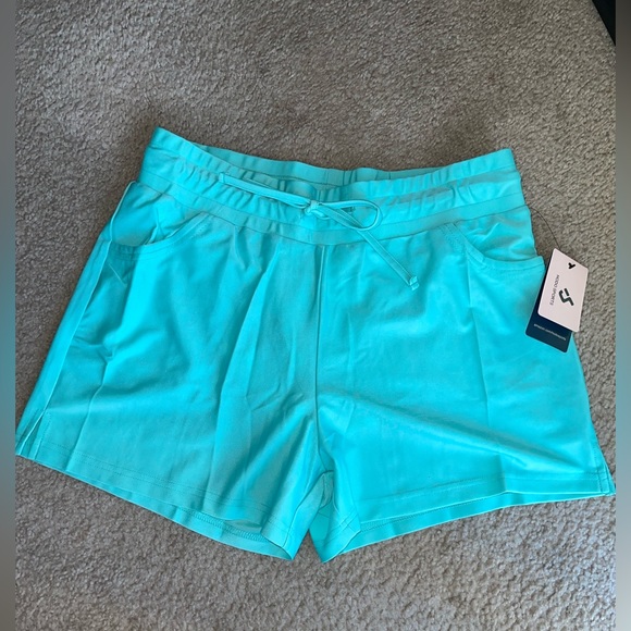 NWT! 🐬 Hodo Sports Aqua Lined Shorts, size M 🐬 - Picture 6 of 9